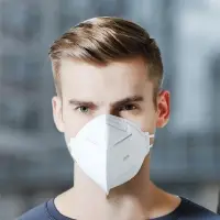 KN95 Face Mask