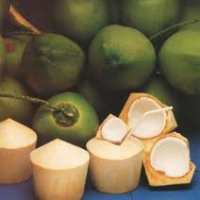 Fresh Young Coconut