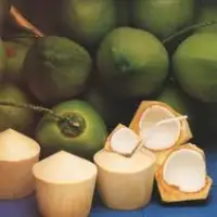 Fresh Young Coconut