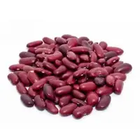 Red Kidney Bean