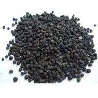 Black Pepper