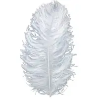 Ostrich Feathers