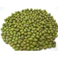Mung Bean