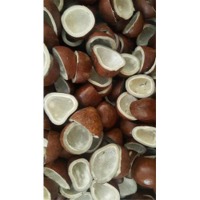 Dried Coconut Copra