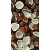 Dried Coconut Copra