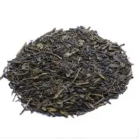SENCHA