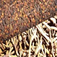 Cloves And Clove Stems