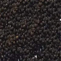 Black Pepper