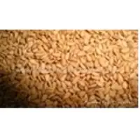 Sesame Seed