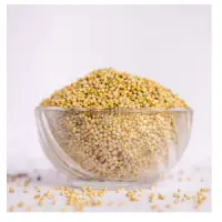 Foxtail Millet