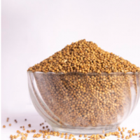 Coriander Seed