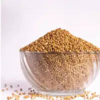Coriander Seed