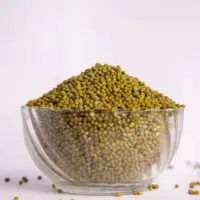 Green Gram