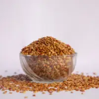 Horse Gram