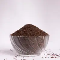 Mustard Seeds
