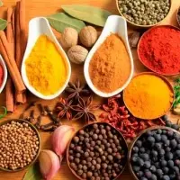 Indian Spices