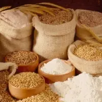 Wheat Flour