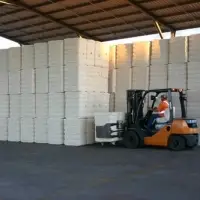 Raw Cotton
