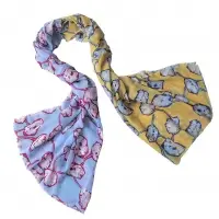 Scarves And Stoles And Shawl