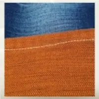 Bangladesh Brand Colored Jaquard Denim Fabric
