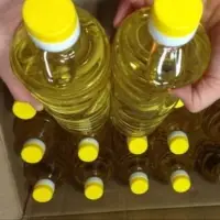 Sunflower Oil