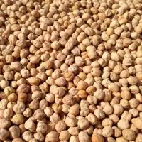 Chickpeas