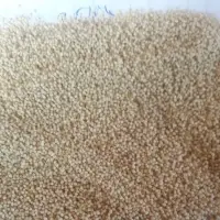 White, Brown,blue Poppy Seeds