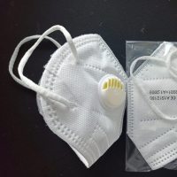 N95 Face Mask