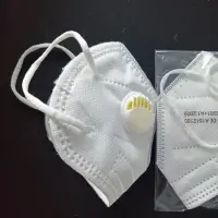 N95 Face Mask