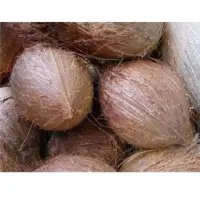 Fully & Semi Husked Coconut