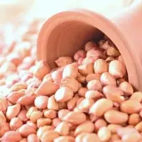 Peanut Or Groundnut Kernels