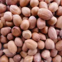 Peanut