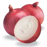 Onion