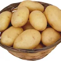 Potato