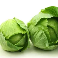Cabbage