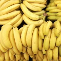 G9 Banana