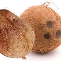 Coconut