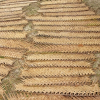 Dry Coconut Woven Leaves