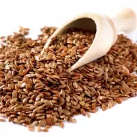 Lin Oil Seeds (Flax Oil Seeds)