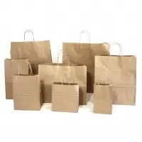 Paper Carry Bag