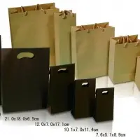 Paper Shopping Bag