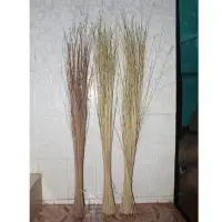 Coco Brooms