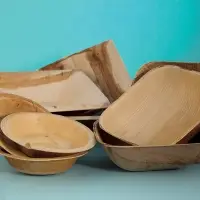 Areca Products