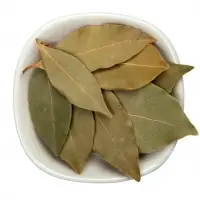 Bay Leaf
