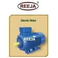 Electric Motor