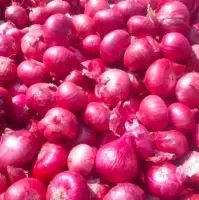 Indian Onions