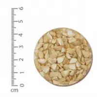 Cashew Raw SP