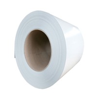 Pre-Painted Galvanized Steel Coil