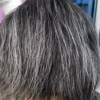 Human Hair Wigs