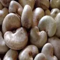 Raw Cashew Nuts